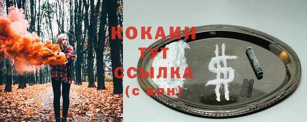 прущие грибы Аркадак