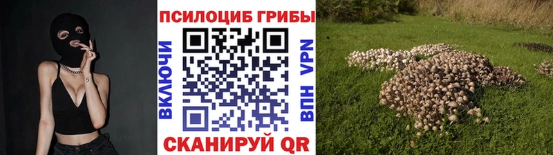 как найти закладки  KRAKEN онион  Галлюциногенные грибы мицелий  Сарапул 